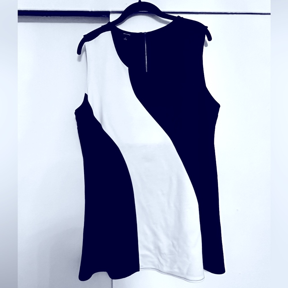 Women tunic sleeveless, back zipper. New with tags. Size 2X. Black and white.